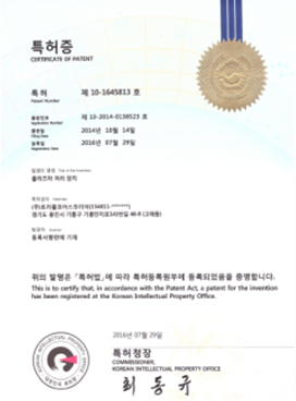 Patent